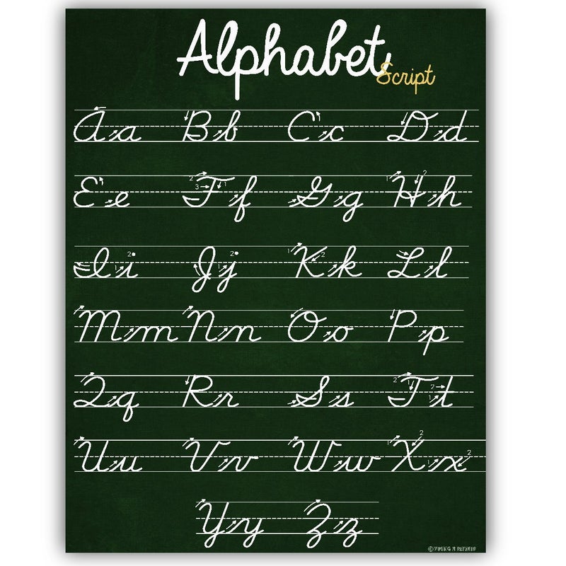 Young N Refined ABC Cursive Script Alphabet poster SIZE SMALL chart LAMINATED teaching classroom decoration Young N Refined (16x20) - Image 4